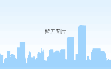 钛阳极板 